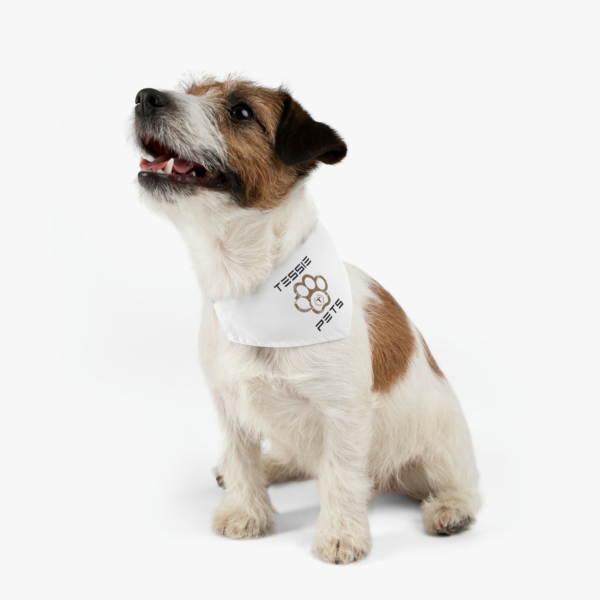 Tessie Pets Bandana Collar